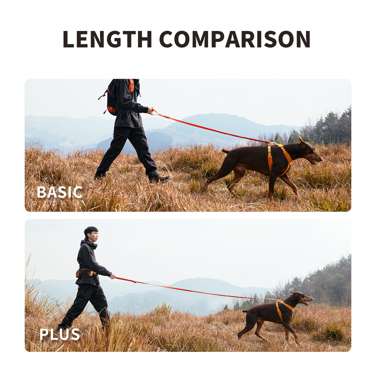 DAQQAB Magnetic Buckle Bungee Leash