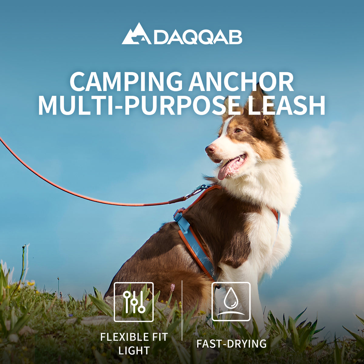 DAQQAB Multifunctional Dog Leash