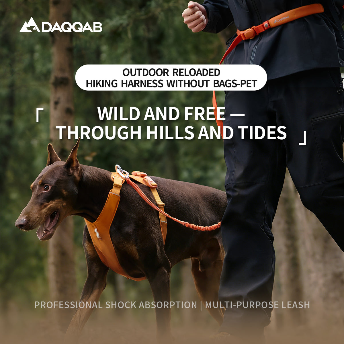 DAQQAB Magnetic Buckle Bungee Leash