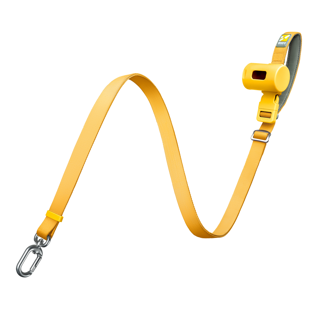 WOOFO Built-in Poop Bag Storage Dog Leash