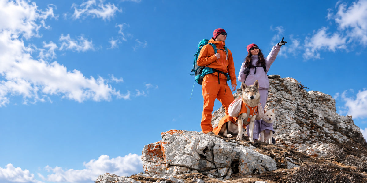 Two hikers and their dogs exploring a rocky mountain summit