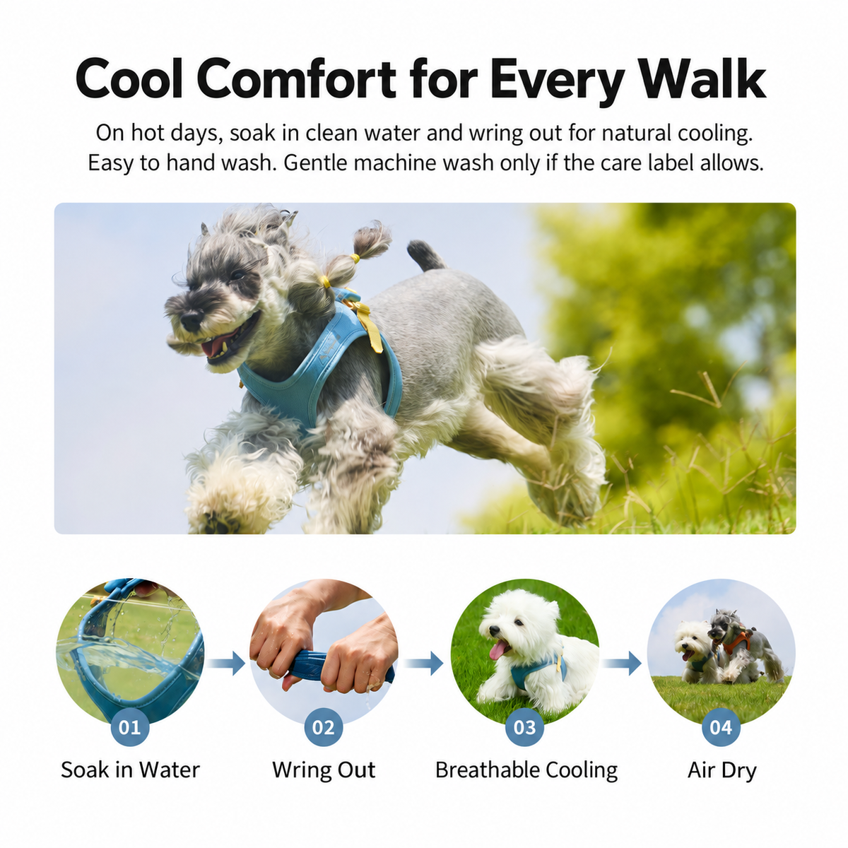DAQQAB Magnetic Buckle Silent Small Dog Harness